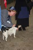 dierenliefde